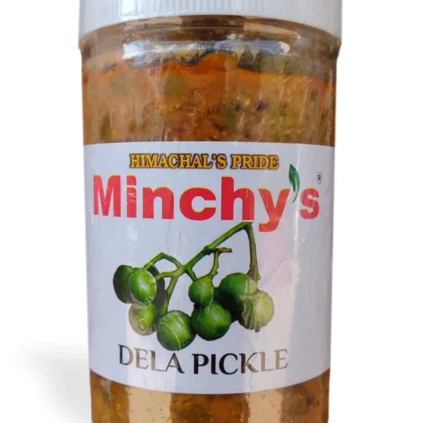 dela pickle dela ka achar tenti pickle tenti ka achar
