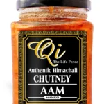aam chutney mango chutney aam ki chutney