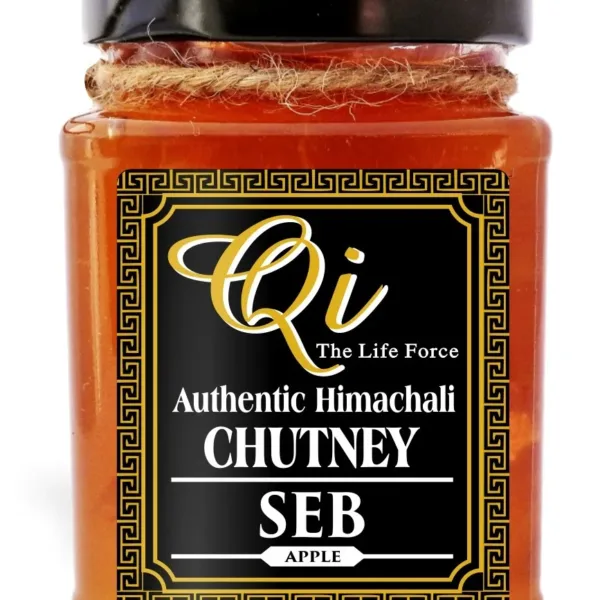 seb chutney qi seb chutney qi apple chutney apple chutney